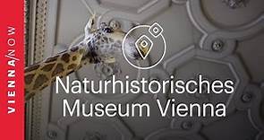 Natural History Museum Vienna