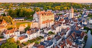 Agnès Sorel, the Lady of Beauty of Loches. French history