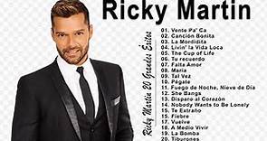 Ricky Martin 20 Grandes Exitos (Sus Mejores Canciones) - Ricky Martin Greatest Hits Full Album