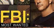 FBI: Most Wanted temporada 4 - Ver todos los episodios online