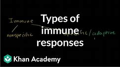 Types of immune responses: Innate and adaptive, humoral vs. cell-mediated | NCLEX-RN | Khan Academy