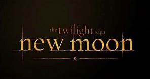 Alexandre Desplat - New Moon (the meadow) [New Moon Soundtrack]