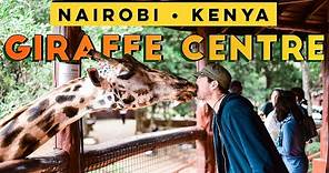 The unforgettable Giraffe Centre - Nairobi, Kenya - MUST DO!!!!