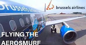 BRUSSELS AIRLINES AIRBUS A320 (ECONOMY) | Nice - Brussels