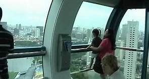 The world's largest ferris wheel Singapore Flyer