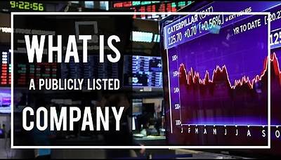 What is a Publicly Listed Company | What does it mean to be a public company - AML Tutorial