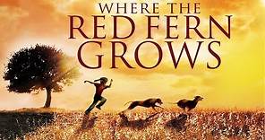 Where the Red Fern Grows (1974) | Full Movie | James Whitmore | Beverly Garland | Jack Ging