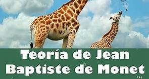 ⭐Teoría de Jean Baptiste de Monet (Caballero de Lamarck) 📗 aulamedia Historia