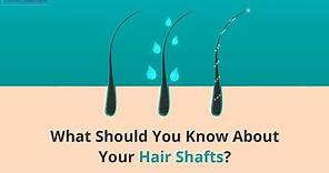 What Should You Know About Your Hair Shafts - Limitless Hair Expert