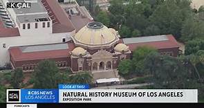 Natural History Museum of Los Angeles | Look At This