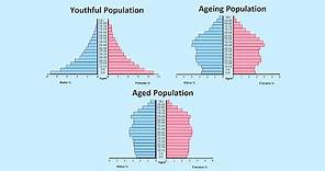 How to Read a Population Pyramid