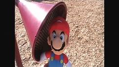 Mario & Luigi Go To The Park!