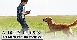 A Dog’s Purpose | 10 minute Preview | Film Clip | Own it now on Blu-ray, DVD & Digital