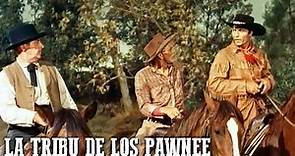 La tribu de los pawnee | Películas del Oeste | Español | Película clásica de vaqueros