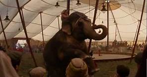 HBO Water For Elephants Trailer