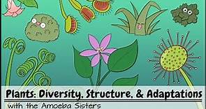 Plants: Diversity, Structure, & Adaptations