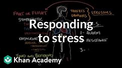 Responding to stress | Processing the Environment | MCAT | Khan Academy