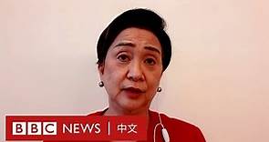 香港選舉制度改革：劉慧卿怒問「為何不乾脆直接任命你喜歡的人？」－ BBC News 中文