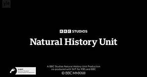 BBC Studios Natural History Unit/SVT/PBS/BBC/BBC Studios (2023)