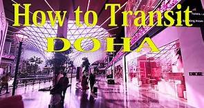 【Airport Tour】 2023 How to Transit at Qatar Doha Hamad International Airport