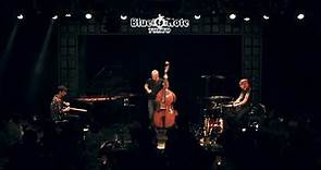 Avishai Cohen Trio - Below (Live at Blue Note Tokyo - 2023)