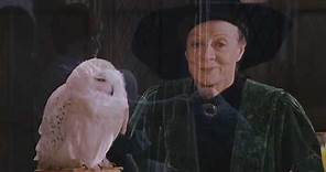 20 Years Ago Today Hedwig Died Saving Harry Potter
