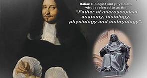 Biography of Marcello Malpighi and his discoveries in the science of histology
