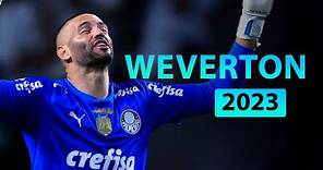 Weverton ● Palmeiras ► Best Saves | 2023
