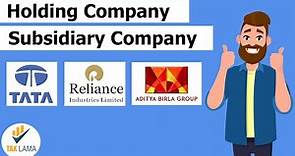 What is Holding and Subsidiary Company Explained in Hindi | with Examples