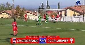 Resumen: CD Diocesano - CD Calamonte (Tercera Federación Gr.XIV 23/24)