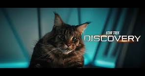 STAR TREK: DISCOVERY "Scavengers" S3E06 - Tilly Has a Close Encounter With Grudge the Cat