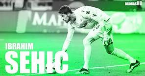 Ibrahim Sehic | 2022 | Konyaspor | Best Saves