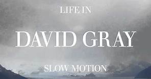 David Gray - "Now And Always"