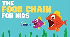 The Food Chain for Kids | What is a food chain? | Come learn about producers, consumers and more!