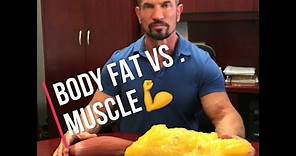 Body Fat vs Muscles