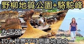 【野柳一日遊】野柳地質公園，女王頭變好細ㄛ，萬里駱駝峰很值得順遊，景色超美!!Yehliu Geopark Taiwan