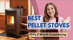 Best Pellet Stoves 2024🏳️‍🌈 Only 5 Worth Considering