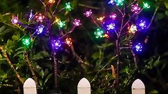 2×Outdoor Solar Garden Lights, 2 Modes Waterproof Color Solar Cherry Blossom Lights Decorative Landscape Lights Outdoor Garden, Patio, Passageway, Christmas Decoration - Walmart.ca