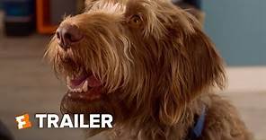 Think Like a Dog (2020) Trailer #1 | Fandango Family