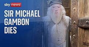 Harry Potter actor Sir Michael Gambon has died