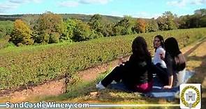 Sand Castle Winery Bucks County Wine Trail Tasting and Tour Erwinna Warrington PhoenixvillePA