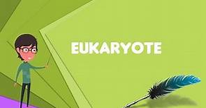 What is Eukaryote? Explain Eukaryote, Define Eukaryote, Meaning of Eukaryote