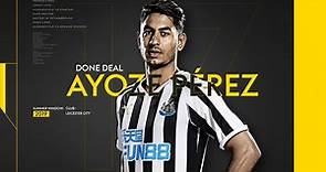 Ayoze Perez completes Leicester move in £30m deal from Newcastle