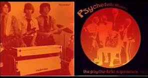 Various ‎– The Psychedelic Experience Vol 3 : 60s Rare Garage Rock Illusions Bands Music Compilation