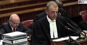 Gerrie Nel wraps up cross-examination