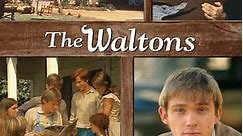 The Waltons: Season 2 Episode 17 The Heritage
