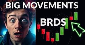 Bird Global, Inc. Stock Analysis for Thursday, March 30, 2023 [BRDS Price Predictions]