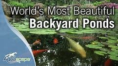World's Most Beautiful Backyard Ponds