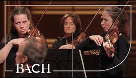 Bach - Orchestral Suite no. 3 in D major BWV 1068 - Mortensen | Netherlands Bach Society