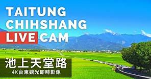 【4K】台東池上天堂路即時影像 Taitung Chihshang Live Camera